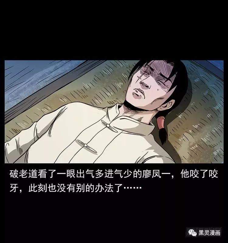 仙山传奇之神医