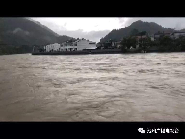 【视频】我市各地积极应对强降雨天气