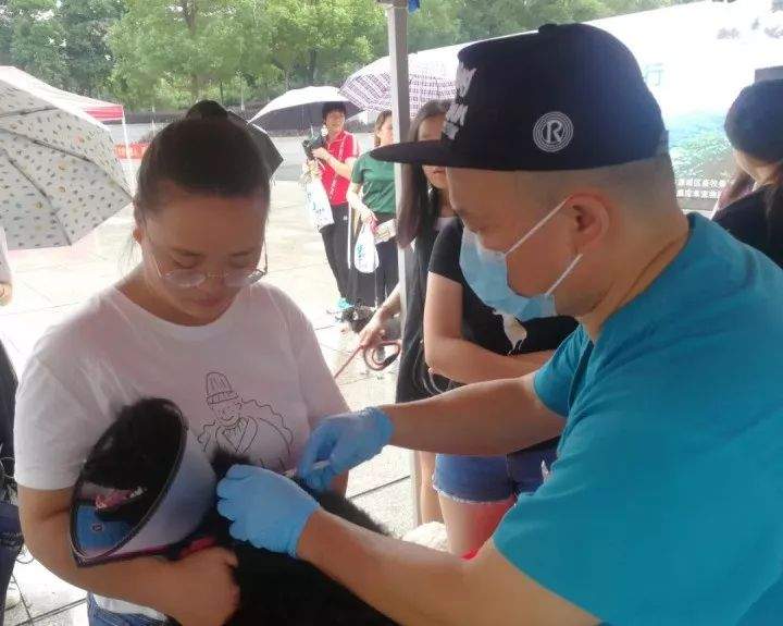 河源可免费注射狂犬疫苗！快带上你的宠物，来市区这家医院！