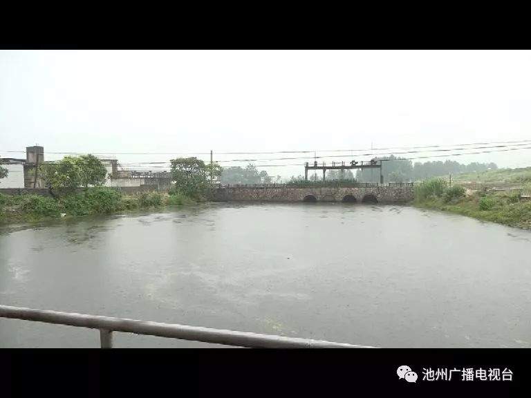 【视频】我市各地积极应对强降雨天气