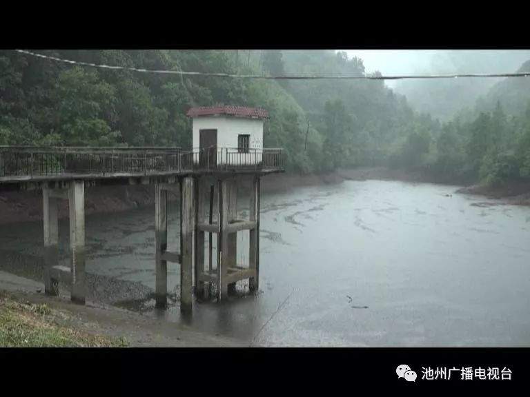 【视频】我市各地积极应对强降雨天气