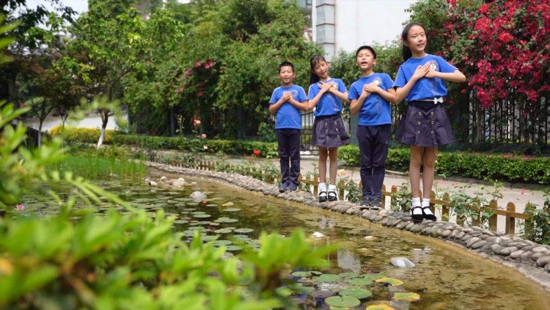 花式同唱《我爱你中国》！成都中小学生掀起校园音乐大接力