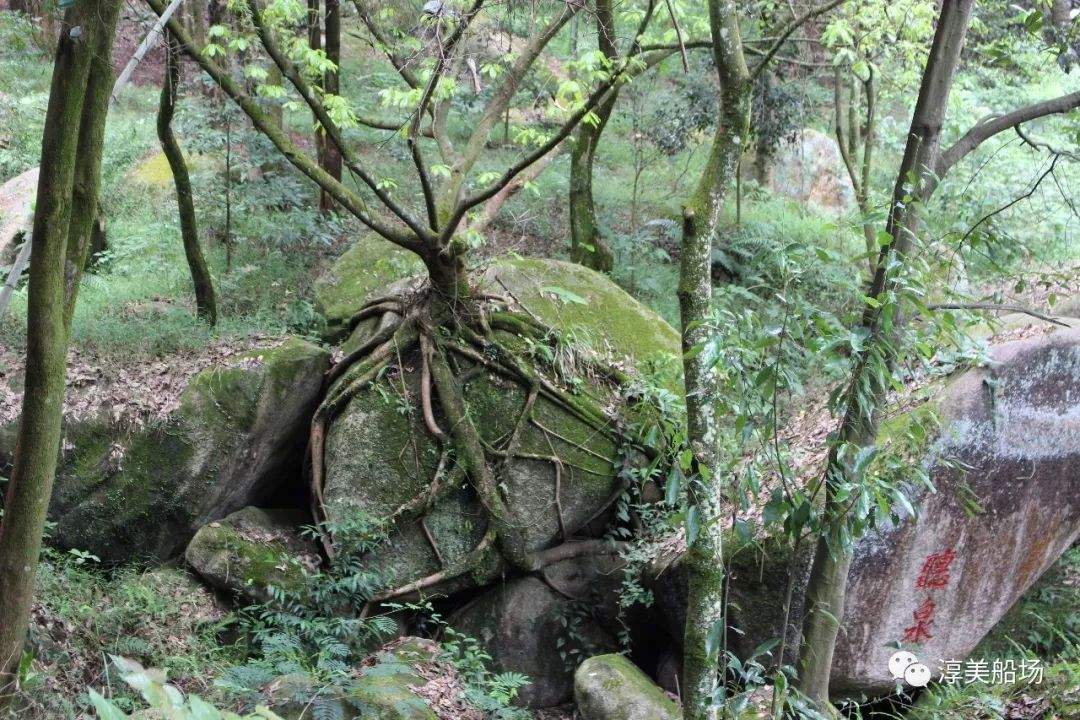 【全域旅游船场行】原来，你是这样的石门岩……