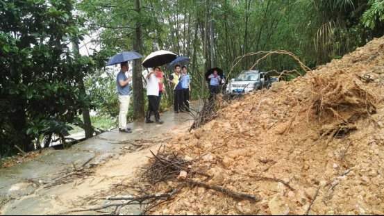 及时出击 消除地质灾害安全隐患