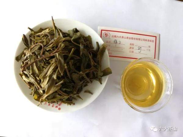 六大茶山：一场喝了16年的茶叶品鉴会