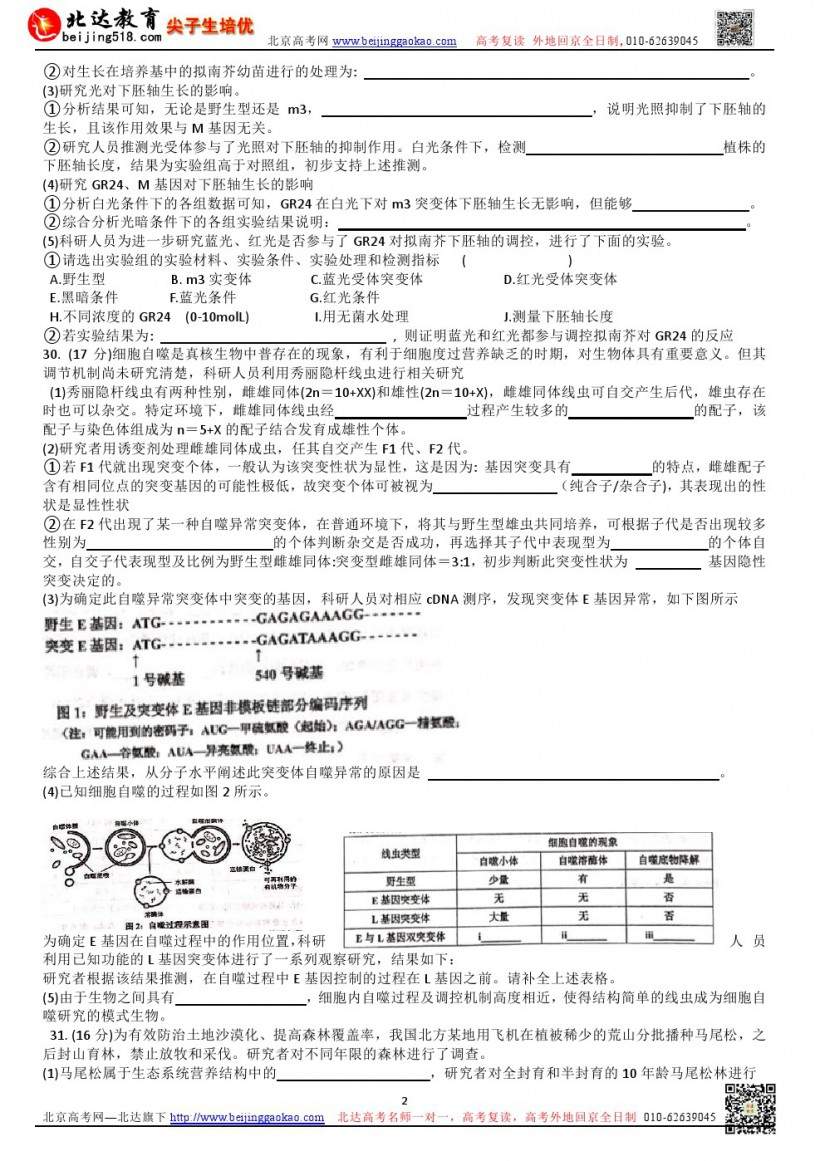 考前练习｜中国人民大学附属中学2019届北京高三生物高考考前热身练习