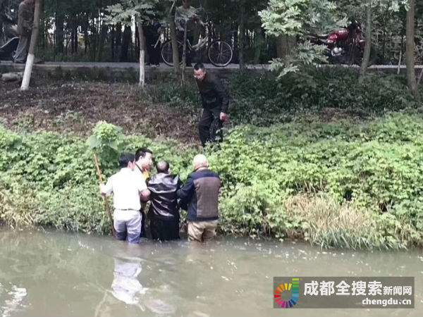 成都大爷不慎落水众人齐心救上岸 天很冷，人心很暖！