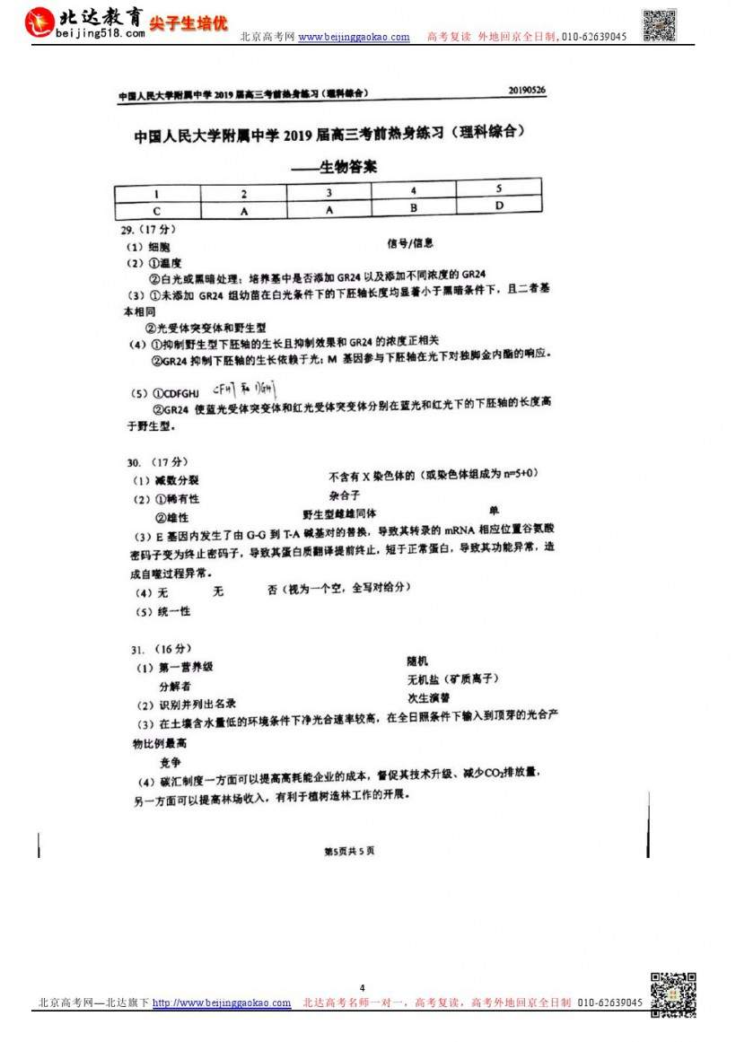 考前练习｜中国人民大学附属中学2019届北京高三生物高考考前热身练习