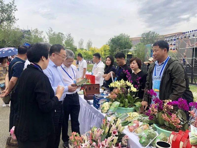 开幕啦！北京世园会“黑龙江省日”等你打卡！