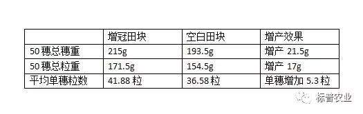 【标普增冠 增产看的见】滑县标普增冠高产观摩会有感