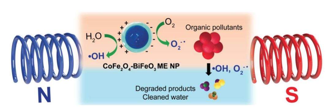 微污染物克星？瑞士团队研发磁性纳米催化剂分解顽固污染物