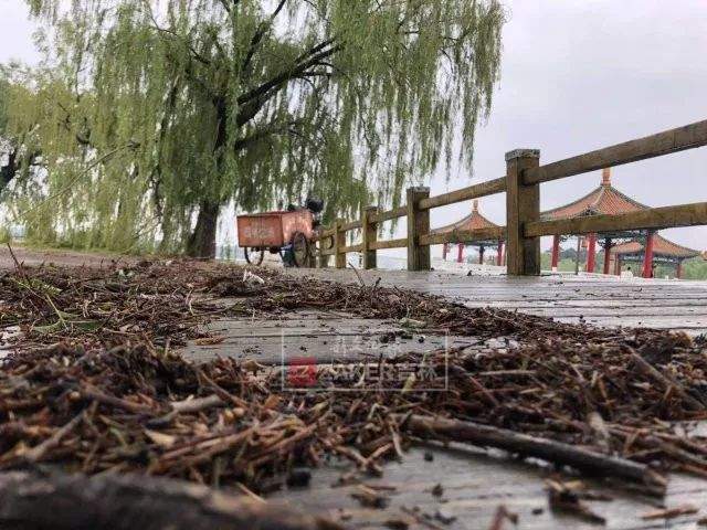 下班抓紧回家！长春今天还有强降水+雷暴大风+冰雹…昨天暴雨后图片有点猛