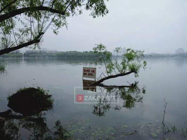 下班抓紧回家！长春今天还有强降水+雷暴大风+冰雹…昨天暴雨后图片有点猛