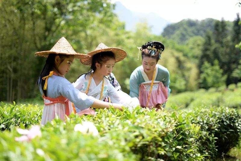 神农架最美花朝节惊艳来袭 千人汉服美女共赴神农架首届花朝节