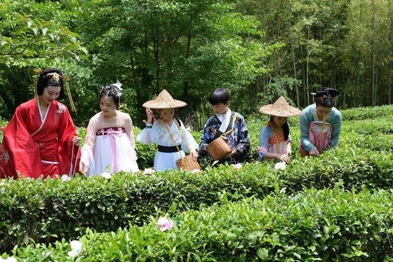 神农架最美花朝节惊艳来袭 千人汉服美女共赴神农架首届花朝节