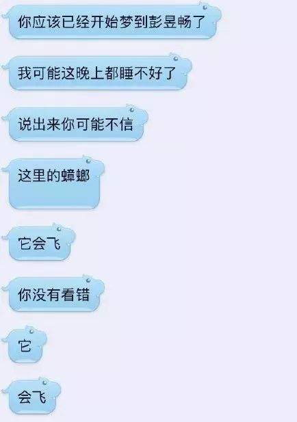 轻轻一点，蟑螂不见，霍顿 · 杀蟑胶饵，对付蟑螂很简单