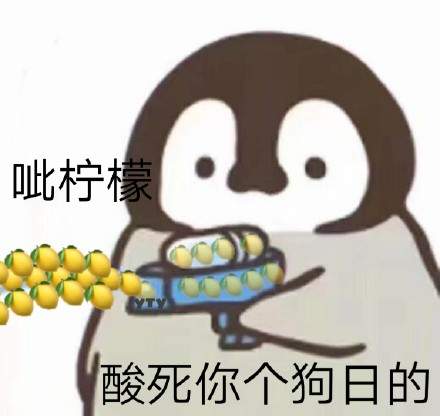 企鹅呲水表情包