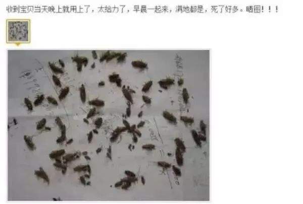 轻轻一点，蟑螂不见，霍顿 · 杀蟑胶饵，对付蟑螂很简单