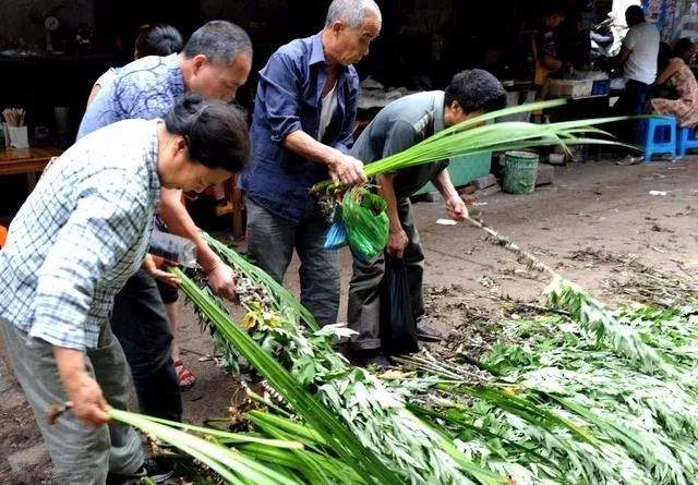 【春城秀】又是一年端午到，满城粽叶香飘飘