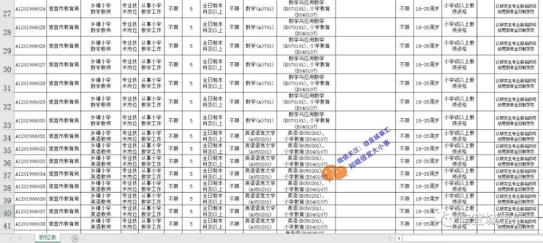 快睇！2019信宜市公开招聘教师338人！（内附职位表）