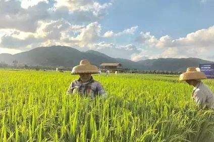 【夏令营】“童趣海南” 双飞5日夏令营