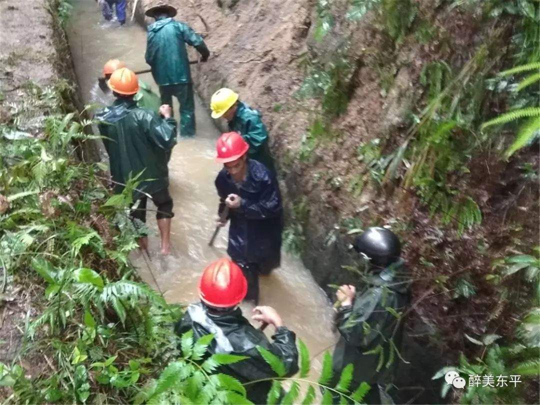 牢牢把握防汛主动权，东平镇全面抓好防汛有备之战