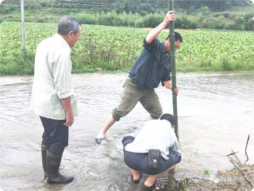 牢牢把握防汛主动权，东平镇全面抓好防汛有备之战