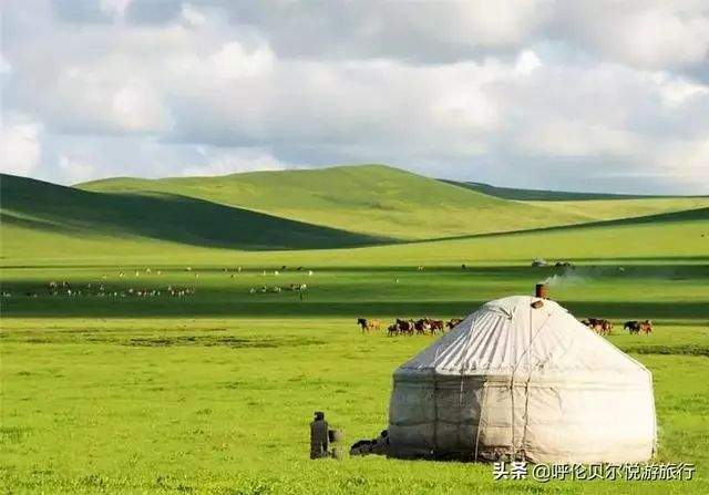 白岩松：呼伦贝尔的夏天邀请每一个人，回家