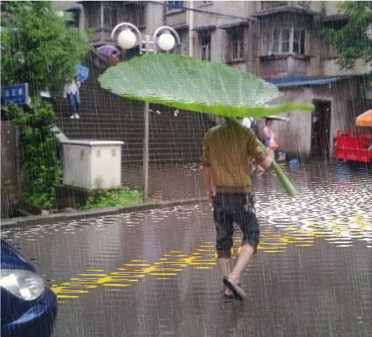 哈尔滨新一轮降雨来袭！雨量较大，你准备好了吗？