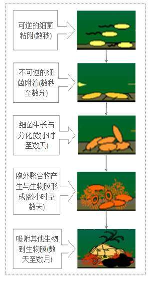 食品安全的隐秘杀手！