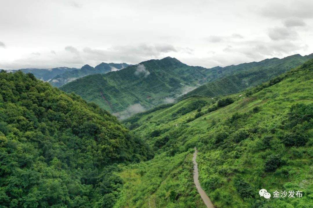 【欣赏】雨后的贡茶之乡 你去过吗？