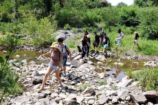 【野疯·徒步】6月16日，醉美原始河谷—翠鸟谷，草木成荫，溪水清澈，休闲徒步避暑路线，摄影、打水仗！