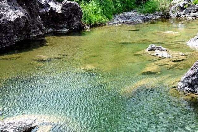 【野疯·徒步】6月16日，醉美原始河谷—翠鸟谷，草木成荫，溪水清澈，休闲徒步避暑路线，摄影、打水仗！