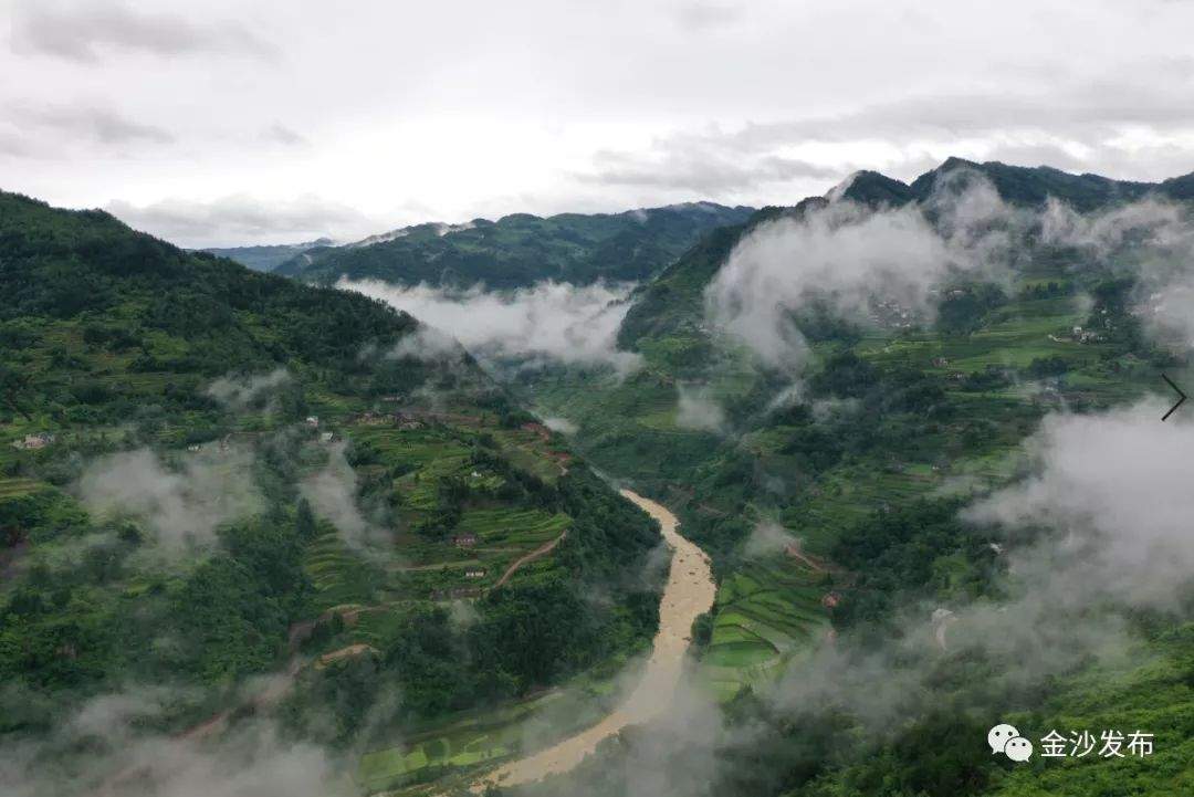 【欣赏】雨后的贡茶之乡 你去过吗？