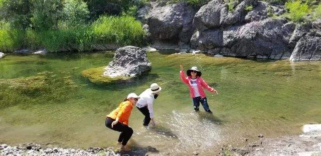 【野疯·徒步】6月16日，醉美原始河谷—翠鸟谷，草木成荫，溪水清澈，休闲徒步避暑路线，摄影、打水仗！