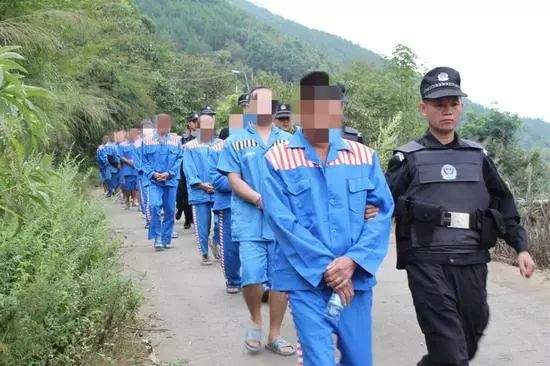 54人被抓22人竟是“保护伞”！隆林破获涉黑恶系列案