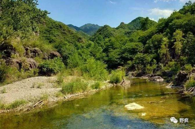 【野疯·徒步】6月16日，醉美原始河谷—翠鸟谷，草木成荫，溪水清澈，休闲徒步避暑路线，摄影、打水仗！