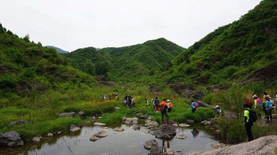 【野疯·徒步】6月16日，醉美原始河谷—翠鸟谷，草木成荫，溪水清澈，休闲徒步避暑路线，摄影、打水仗！