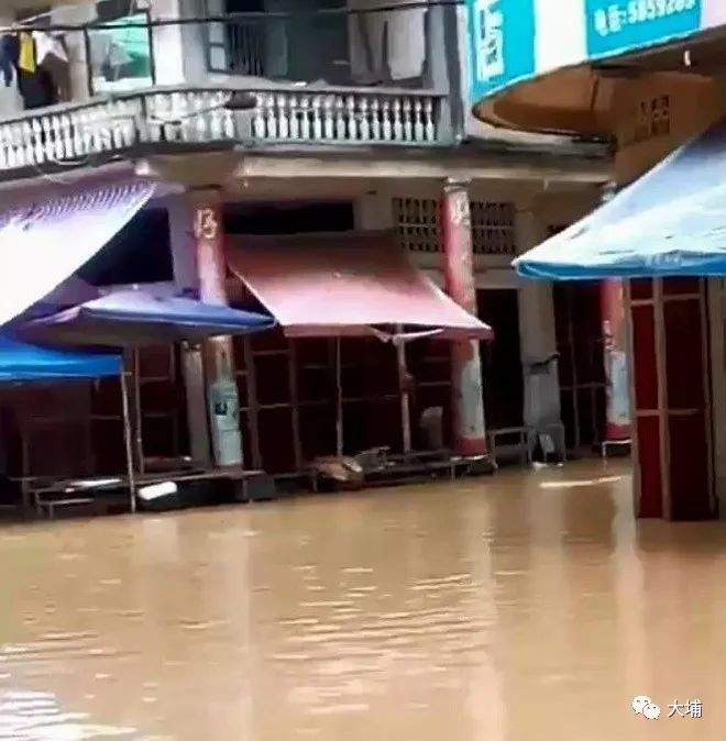 高陂又水浸街了...预计再超警戒水位!