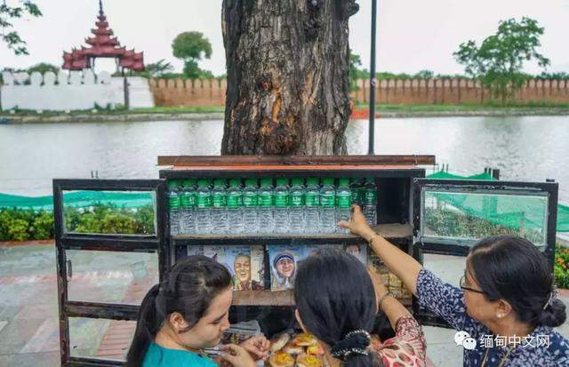 谁说天下没有免费的午餐？在缅甸，就可以有！