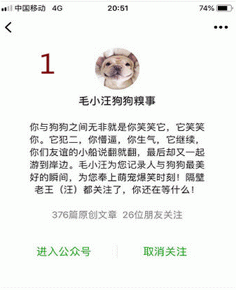 流浪狗刚刚被收养不被家里主人喜欢？最后用自己的方式让主人的态度发生了转变!