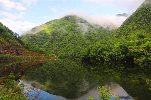 家里有这证千万别扔！全国好多景区免费游啦