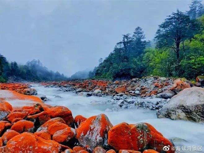 家里有这证千万别扔！全国好多景区免费游啦