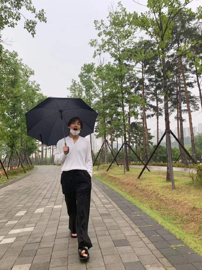 金泰亨雨中也闪耀的气质，釜山雨景中和雨伞一起的俏皮和可爱，朴宝剑回复抢眼