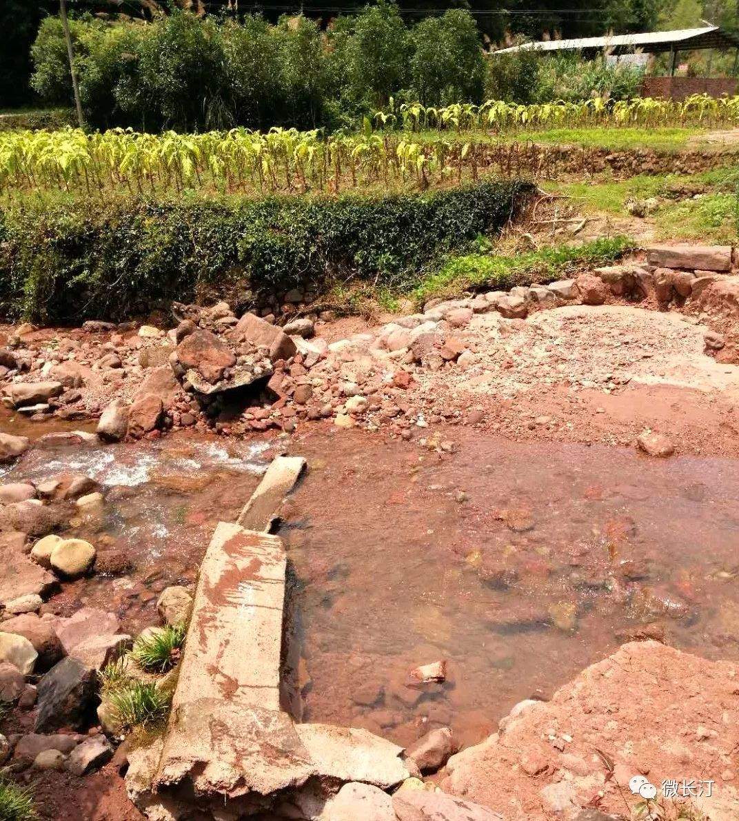 今日要闻丨长汀：县长马水清赴乡镇调研强降雨受灾情况和部署防汛工作