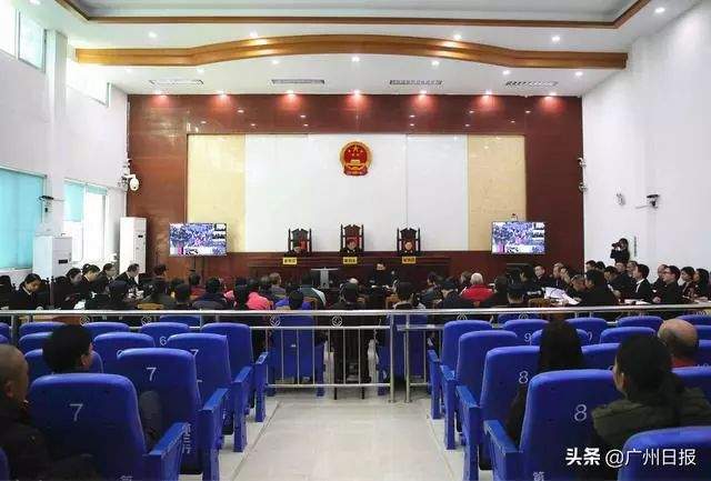 害人不浅!新丰22人获刑，罚款高达29万元，全因这件事……