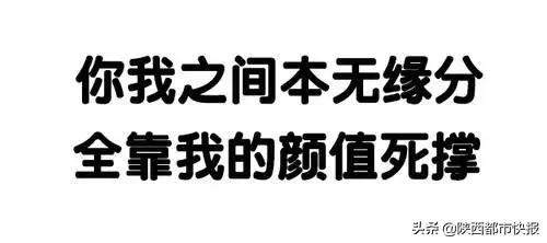 颜值太高！陕西这所大学走红全国，地铁5号线都围绕它而过