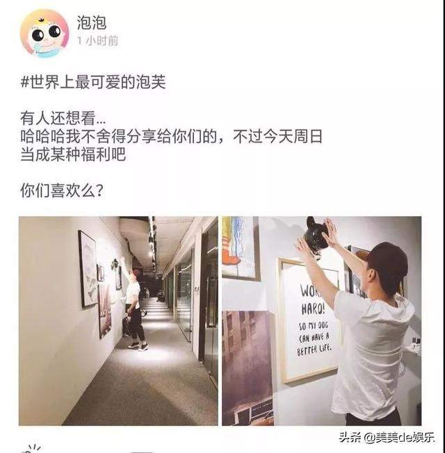 粉丝跑没了？软饭男不如张翰？郑爽首次回应了......