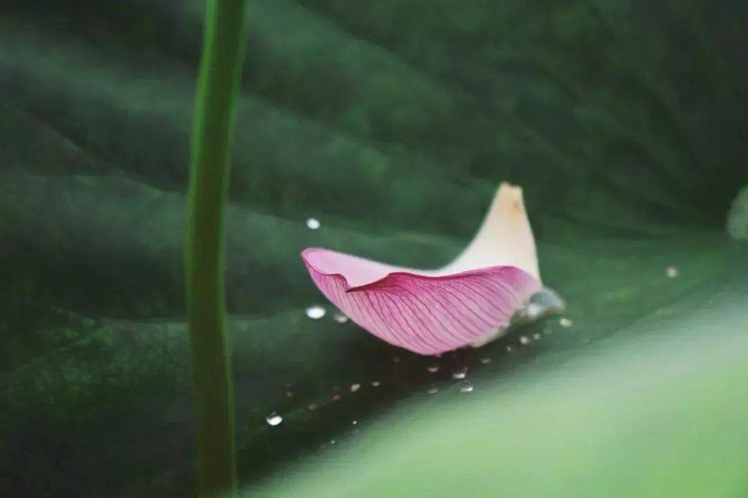 这个深藏在云南的仙境，就算踏破鞋底也要去