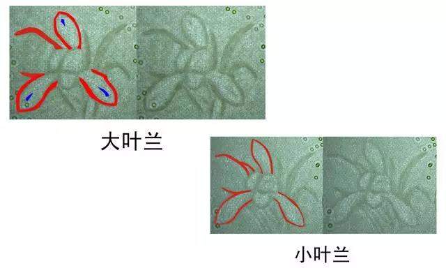 收藏贴士，99版人民币最新价格